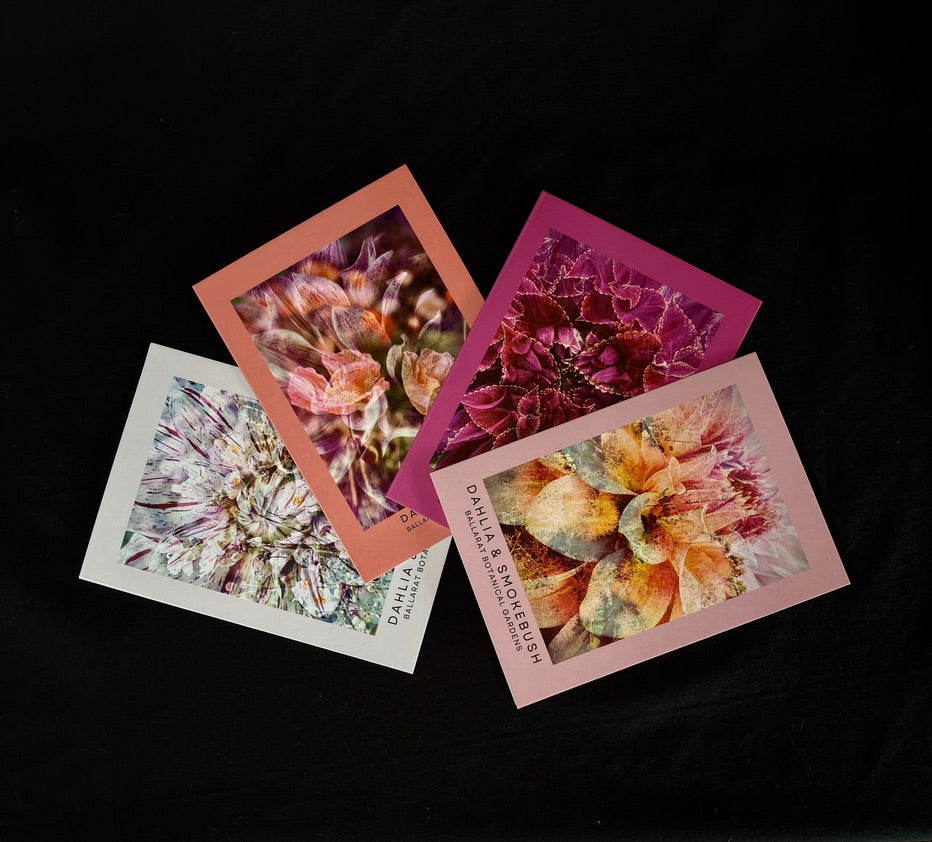 Ballarat Botanical Gardens Greeting Cards: Dahlia Series (4)