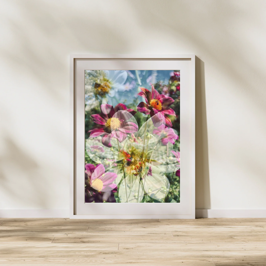 Photographic Art Print: Dahlias & bees (free shipping)