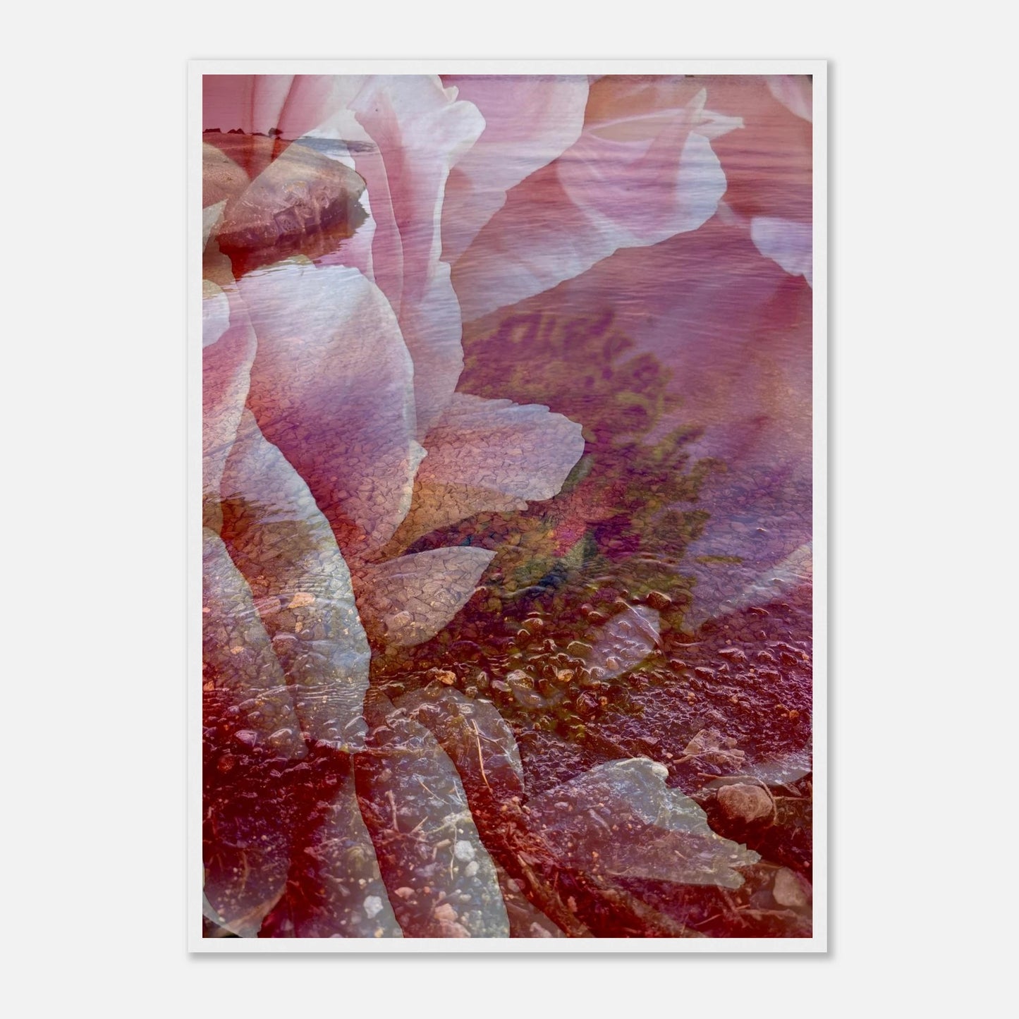 2a04c7d4-565d-4fcc-a8d5-62c301460145