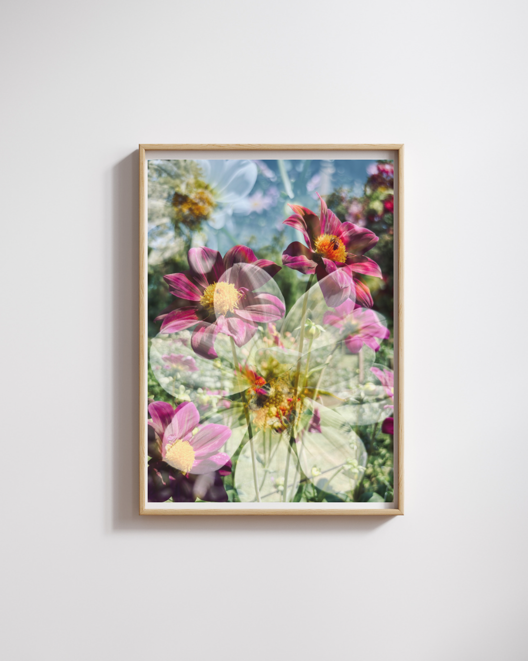 Photographic Art Print: Dahlias & bees (free shipping)