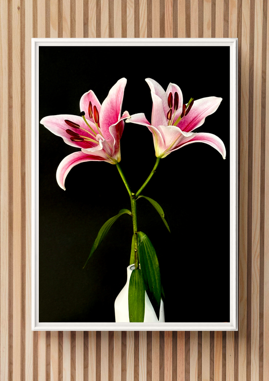 Photographic Art Print: Two Lilies (free shipping)