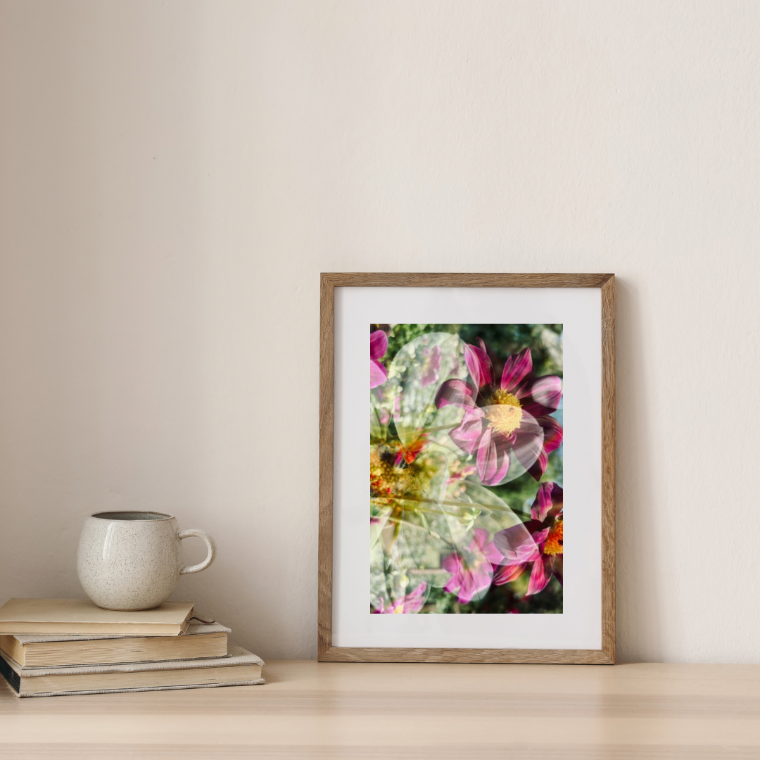 Photographic Art Print: Dahlias & bees (free shipping)