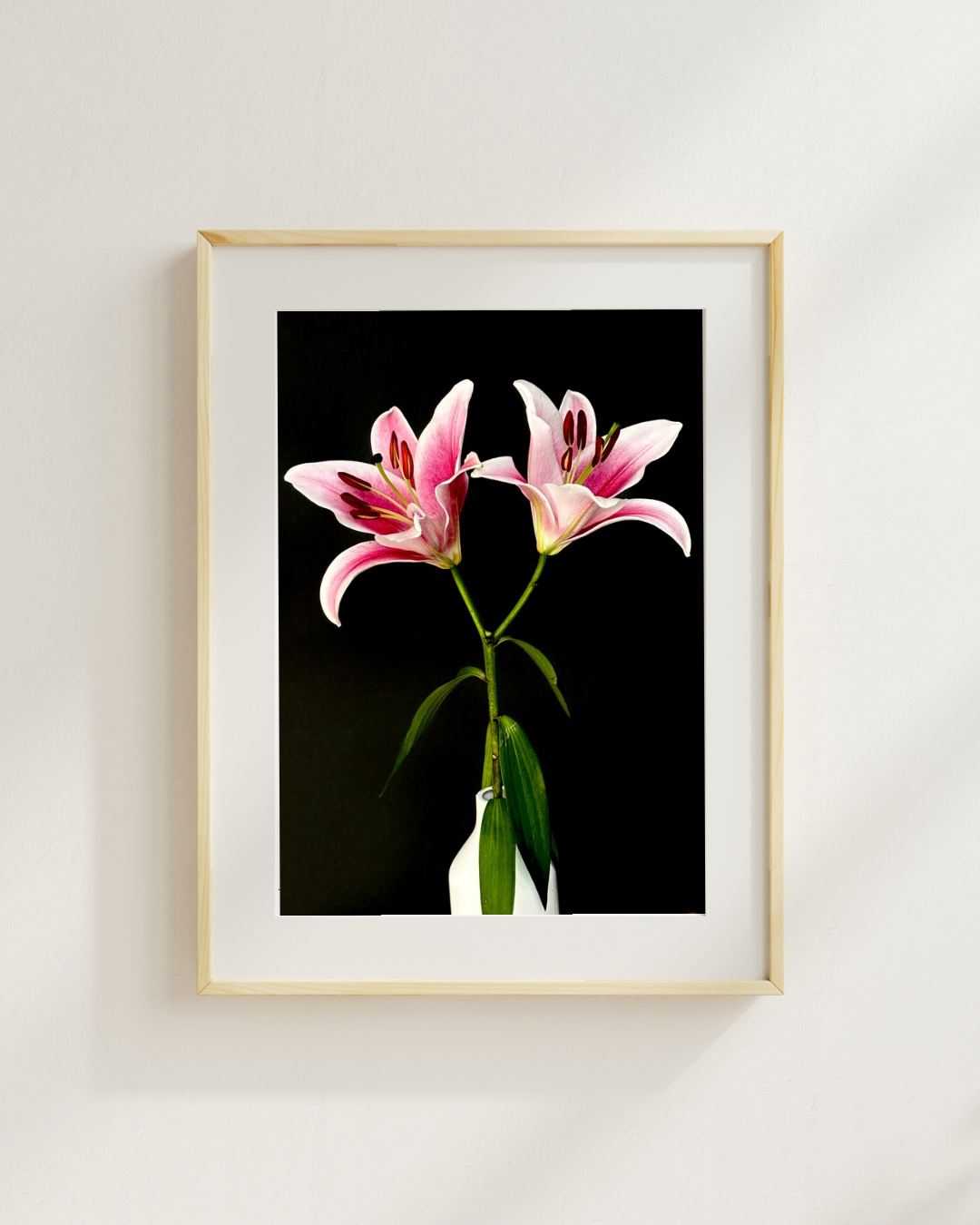 Photographic Art Print: Two Lilies (free shipping)