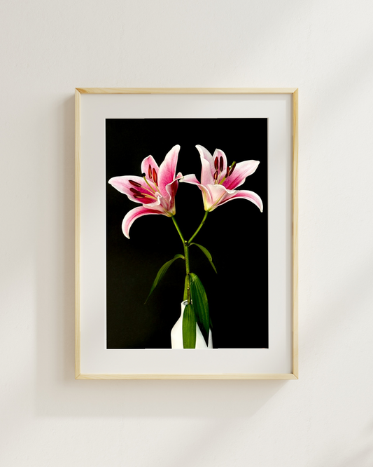 Art Print: Two Lilies (free shipping)
