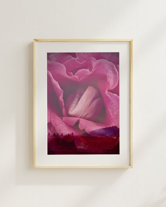 Art Print: Rose on the horizon