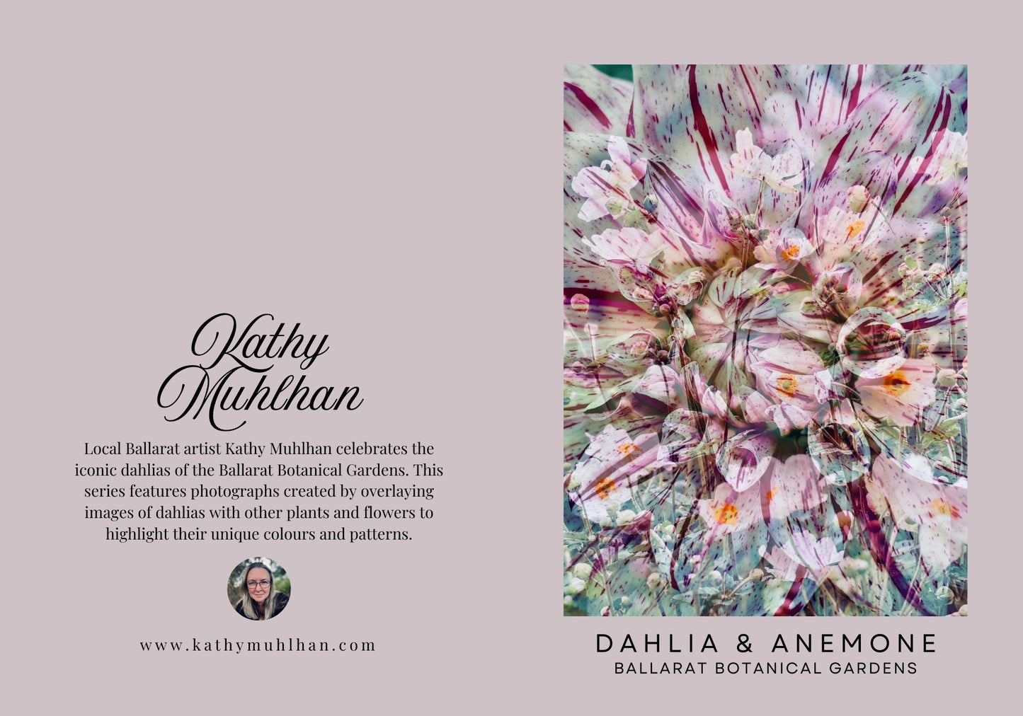 Ballarat Botanical Gardens Greeting Card: Dahlia & Anemone