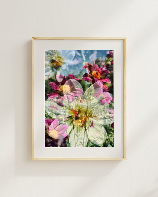 Art Print: Dahlias & bees