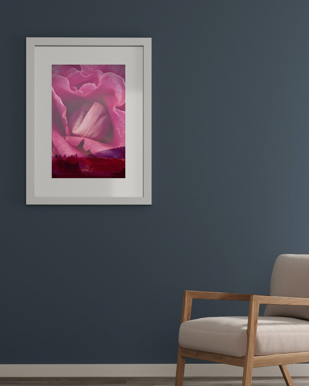 Photographic Art Print: Rose on the horizon (free shipping)