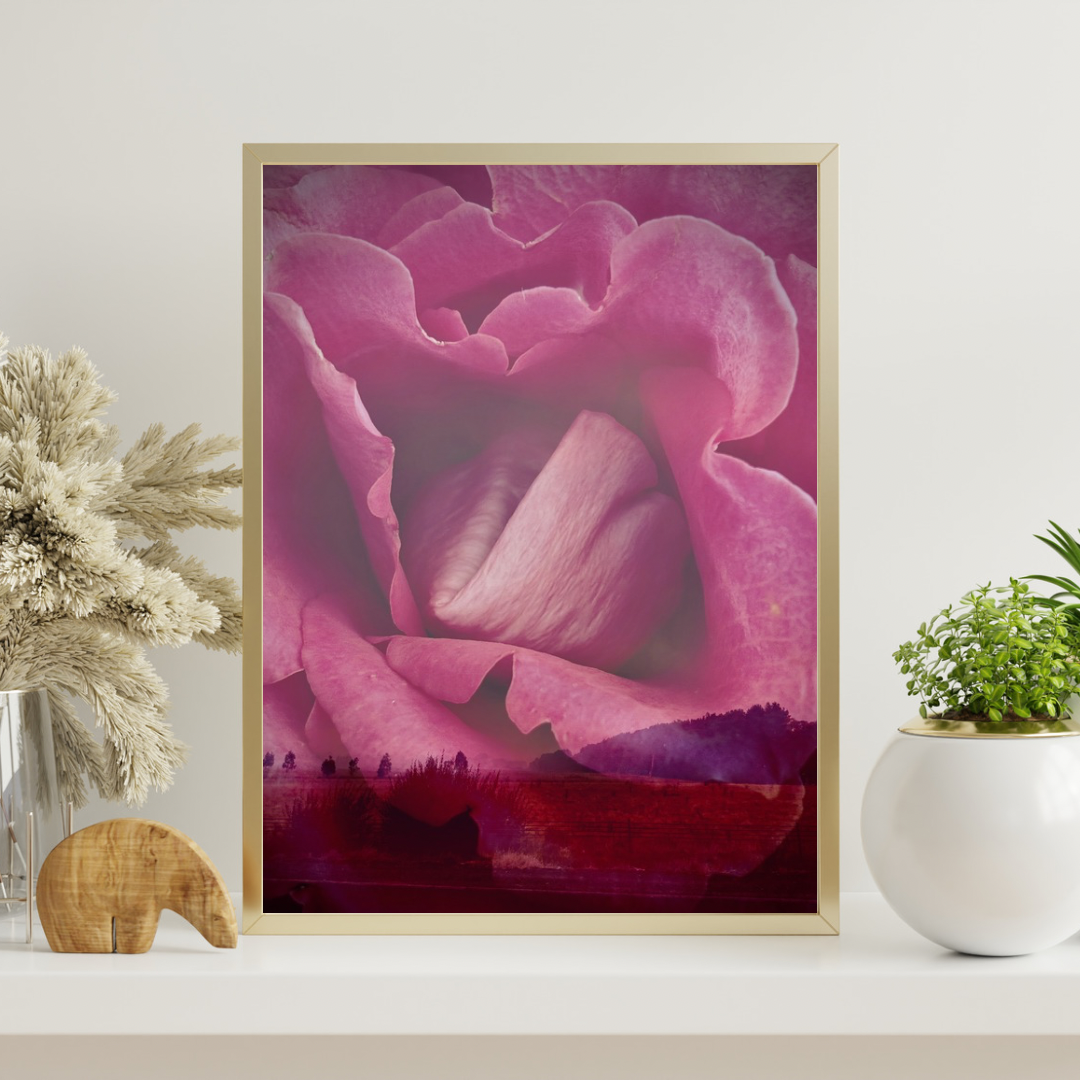 Photographic Art Print: Rose on the horizon (free shipping)