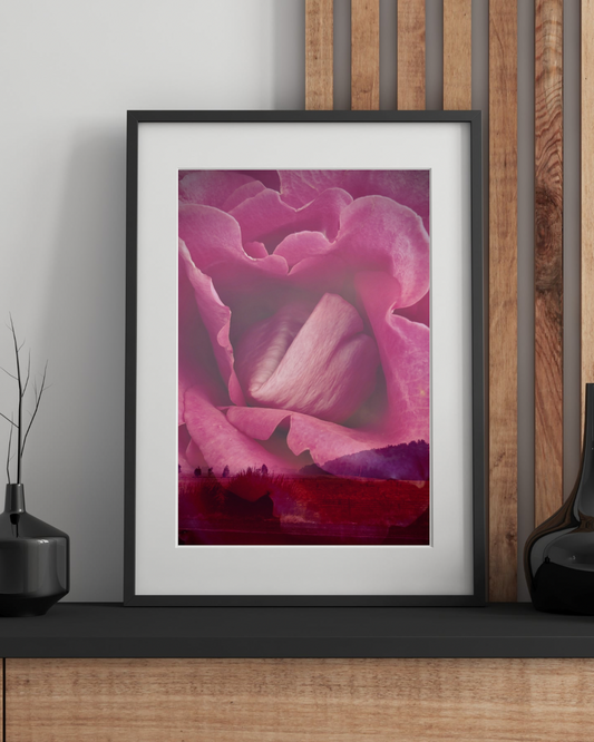 Photographic Art Print: Rose on the horizon (free shipping)