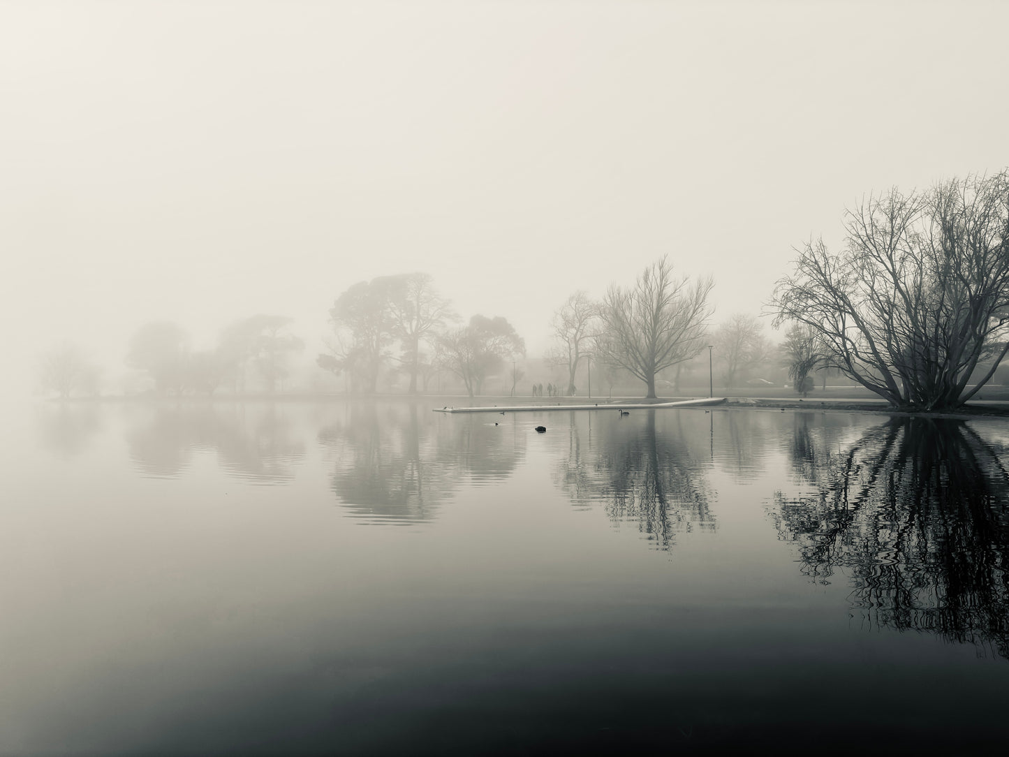 Photographic Art Print: Lake Wendouree 1 (free shipping)