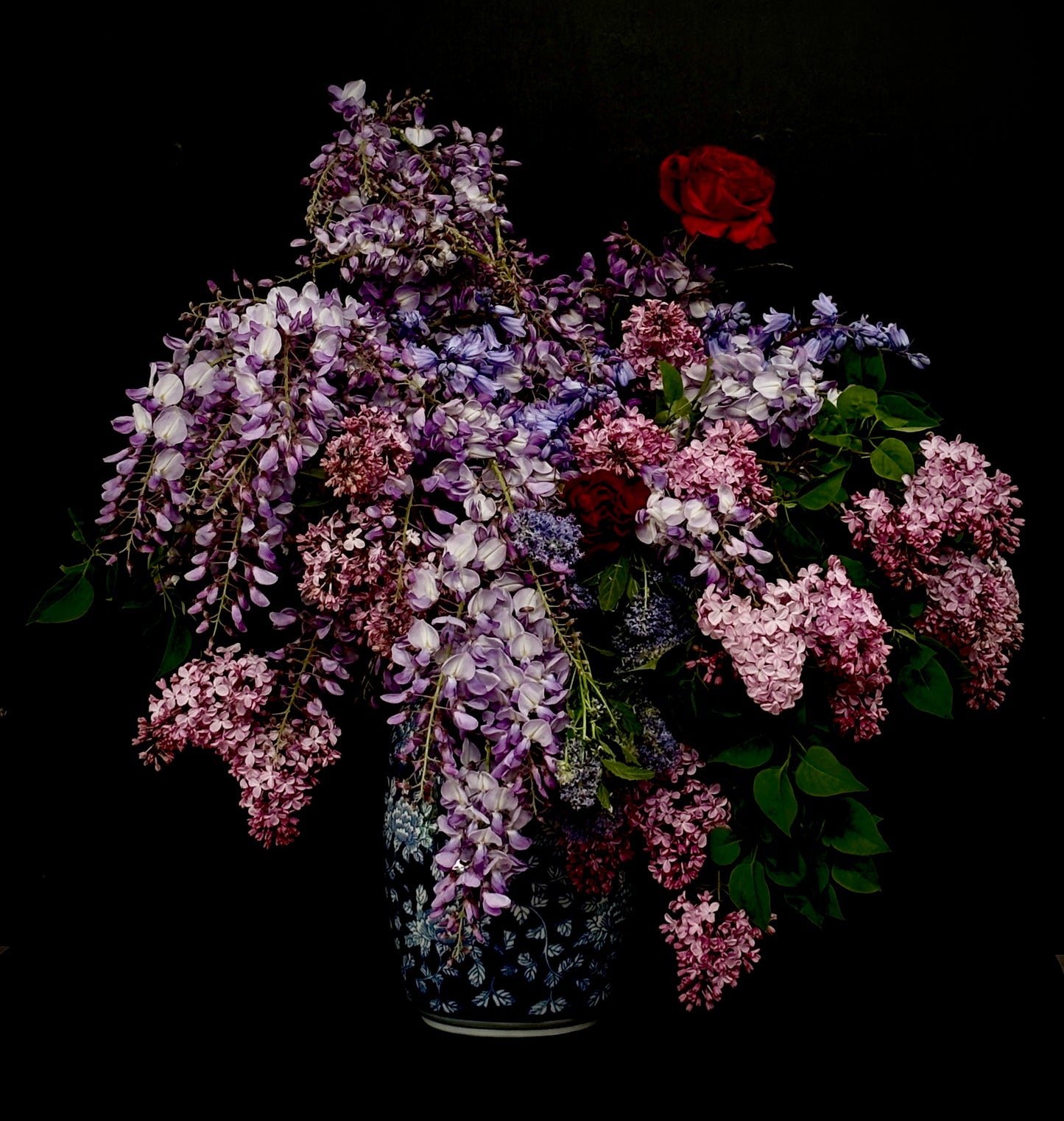 Mini floating frame canvas: Wisteria bouquet (free shipping)