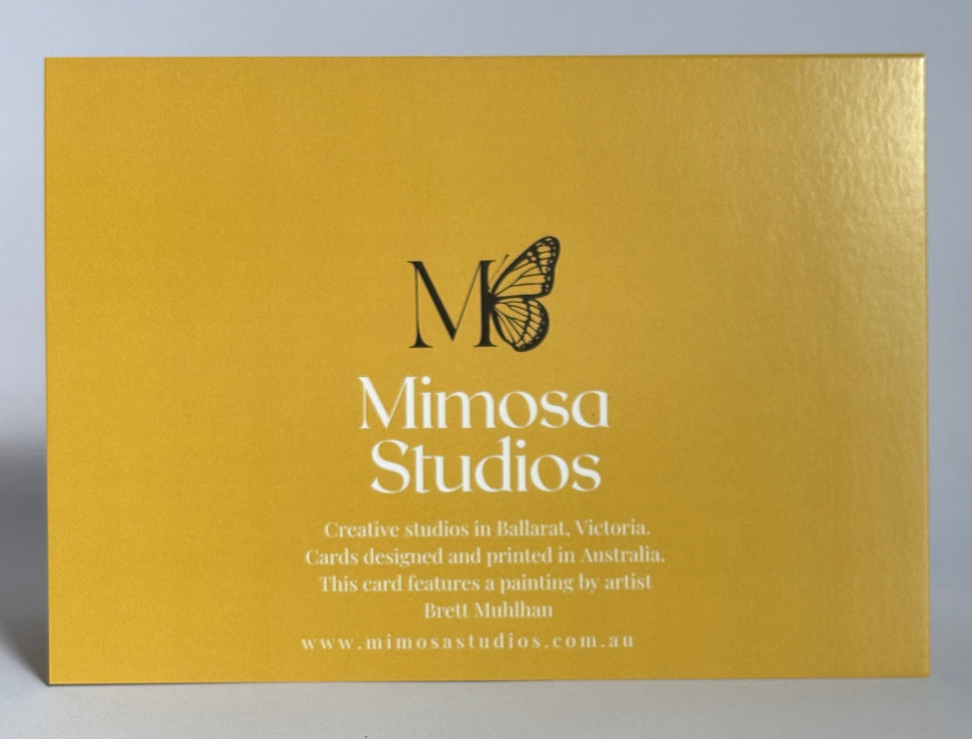 Yellow box with 'Mimosa Studios' logo on a wooden surface