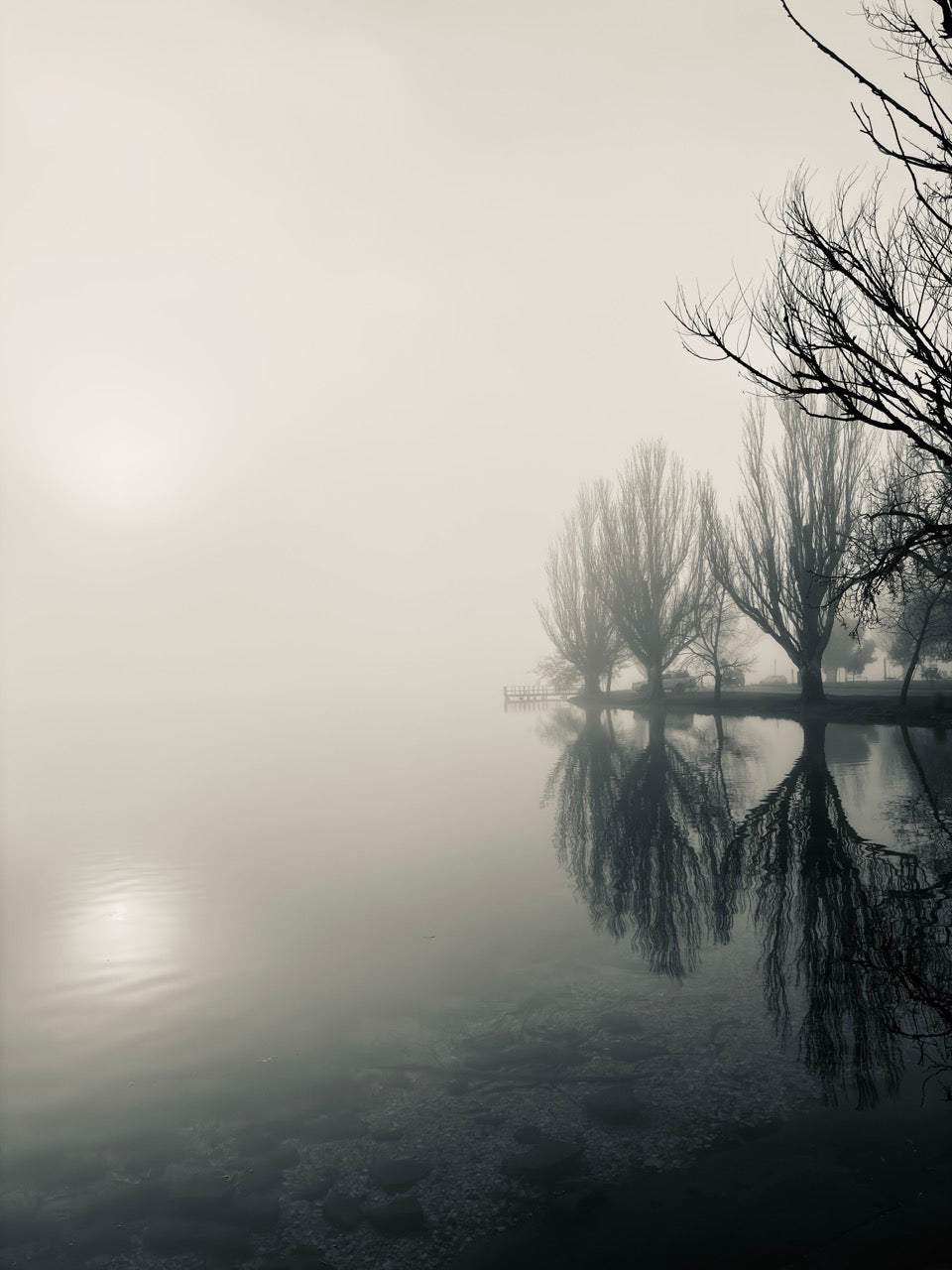 Art Print: Lake Wendouree 4