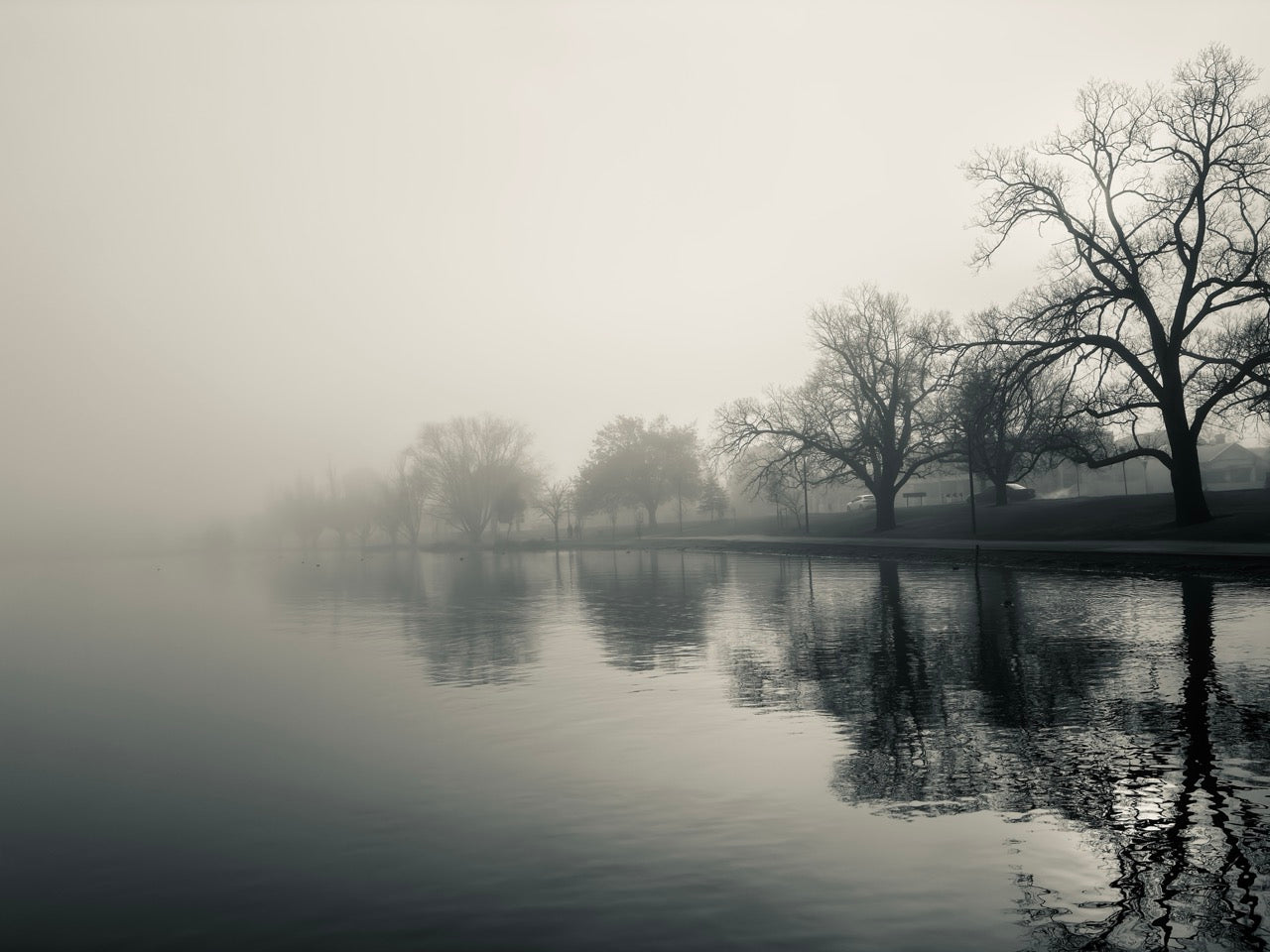 Art Print: Lake Wendouree 2