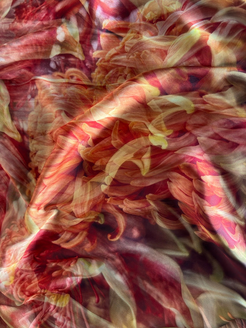 A close-up abstract floral scene with layered petals in red, pink, peach, cream, and yellow tones, filling the entire frame.