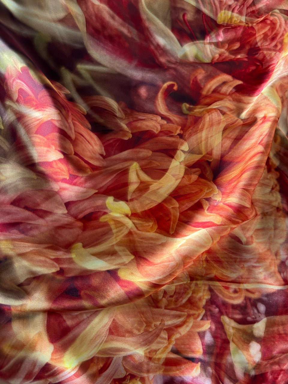 Abstract close-up of layered flower petals in warm tones, blending red, pink, orange, and pale yellow with a soft painterly effect.