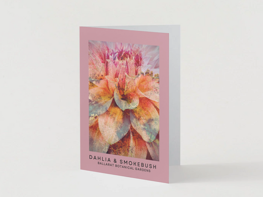 Ballarat Botanical Gardens Greeting Card: Dahlia & Smokebush
