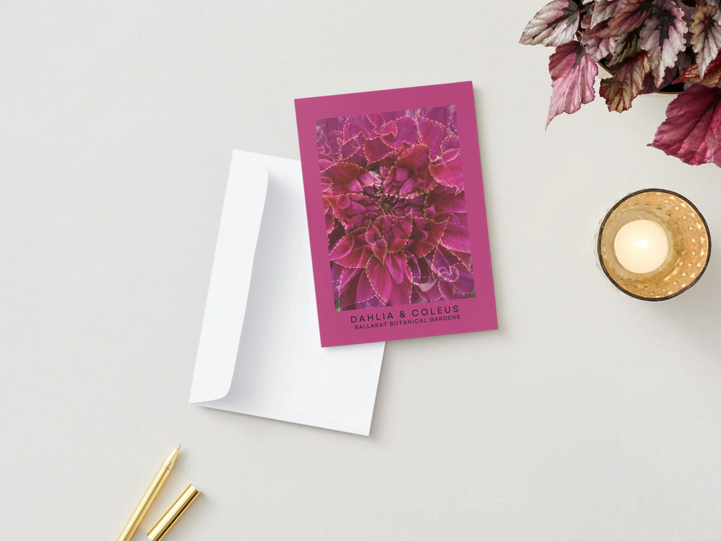 Ballarat Botanical Gardens Greeting Card: Dahlia & Coleus