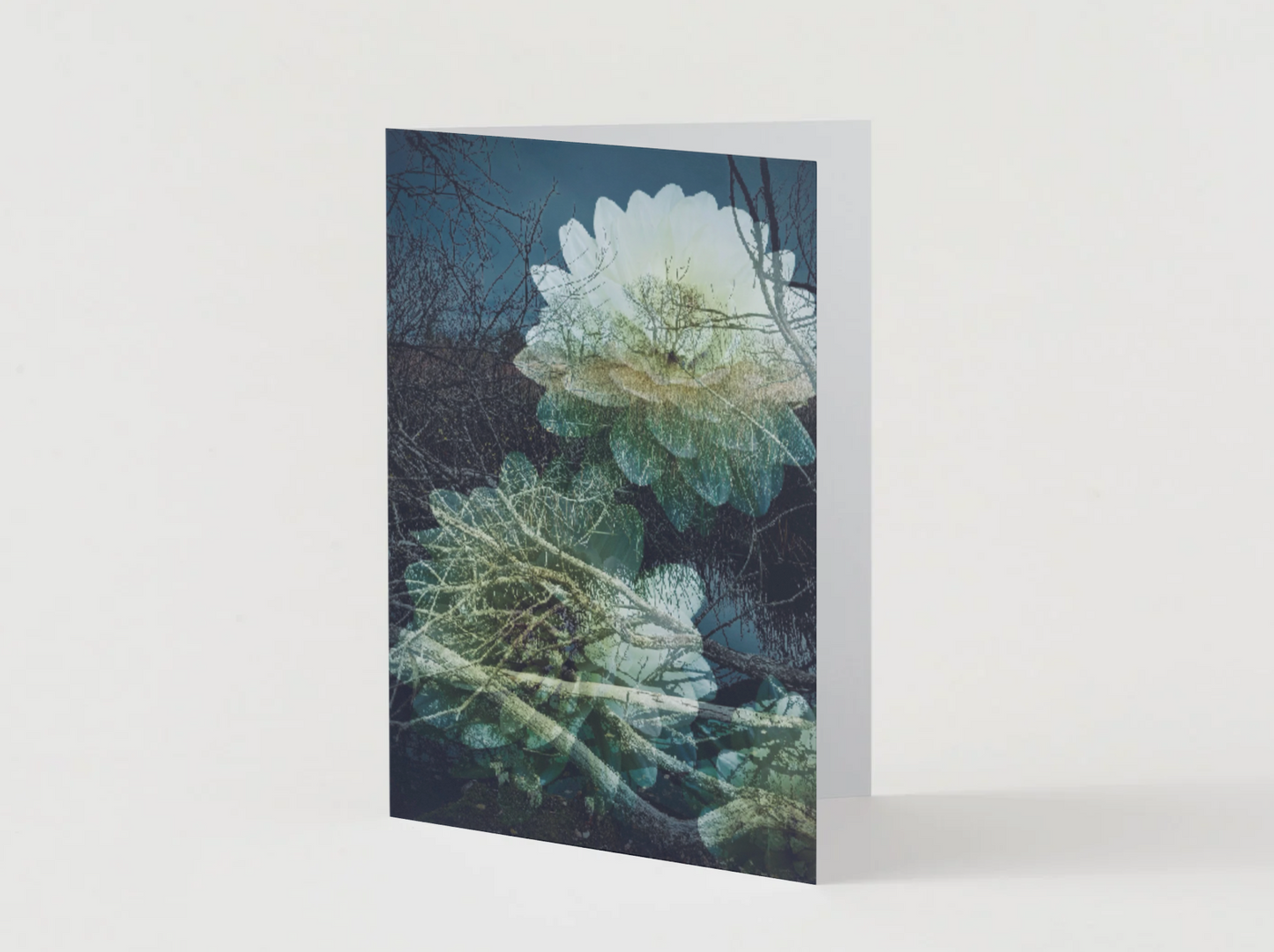 Art Card: On the Edge of the Lake #4