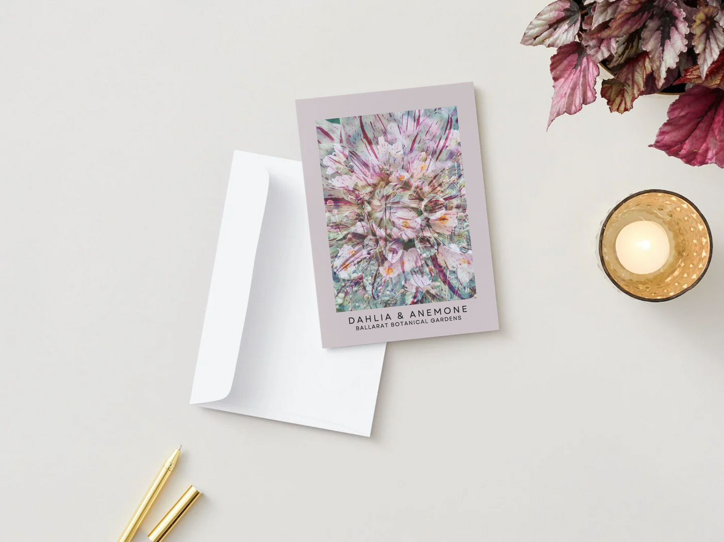 Ballarat Botanical Gardens Greeting Card: Dahlia & Anemone