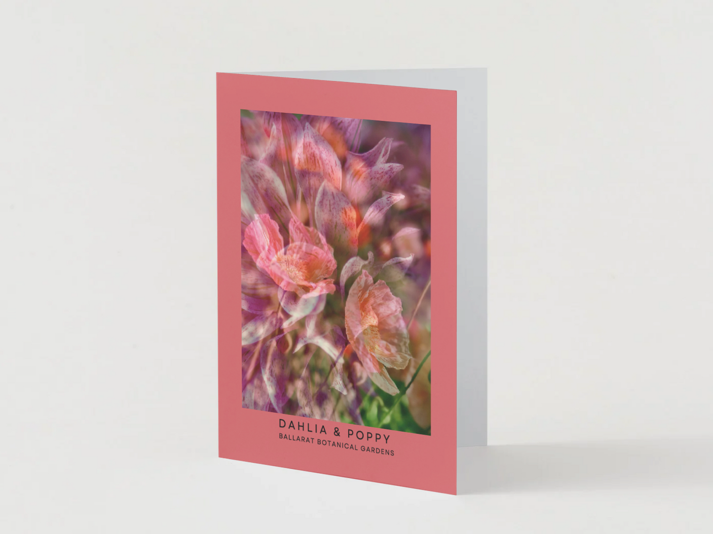 Ballarat Botanical Gardens Greeting Card: Dahlia & Poppy