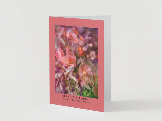 Ballarat Botanical Gardens Greeting Card: Dahlia & Poppy