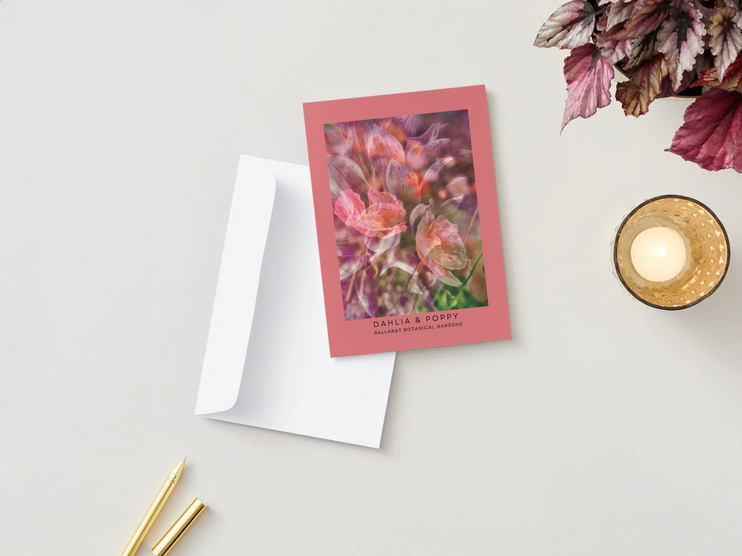 Ballarat Botanical Gardens Greeting Card: Dahlia & Poppy