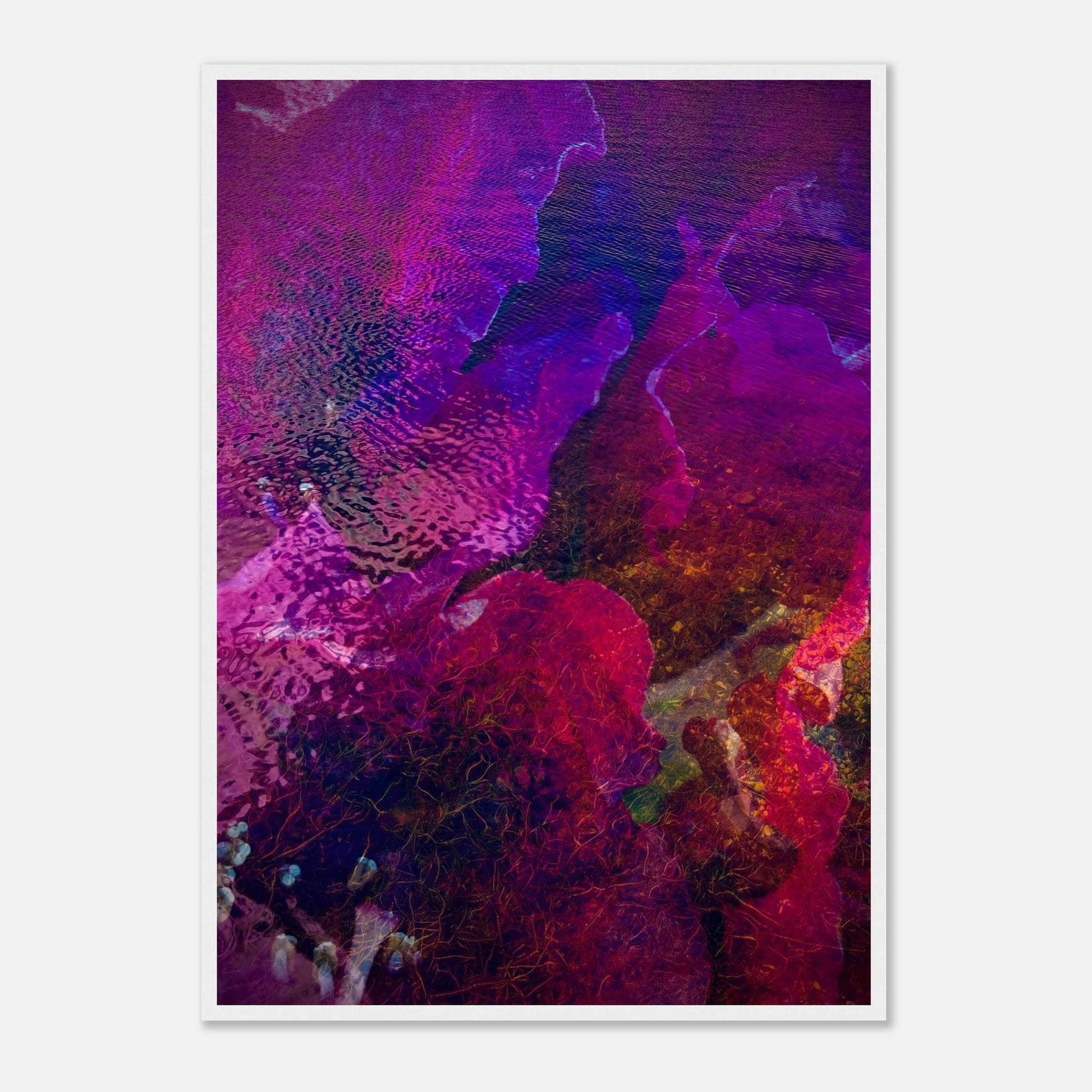 b25919c6-8be7-4376-836e-ba86748a3af9