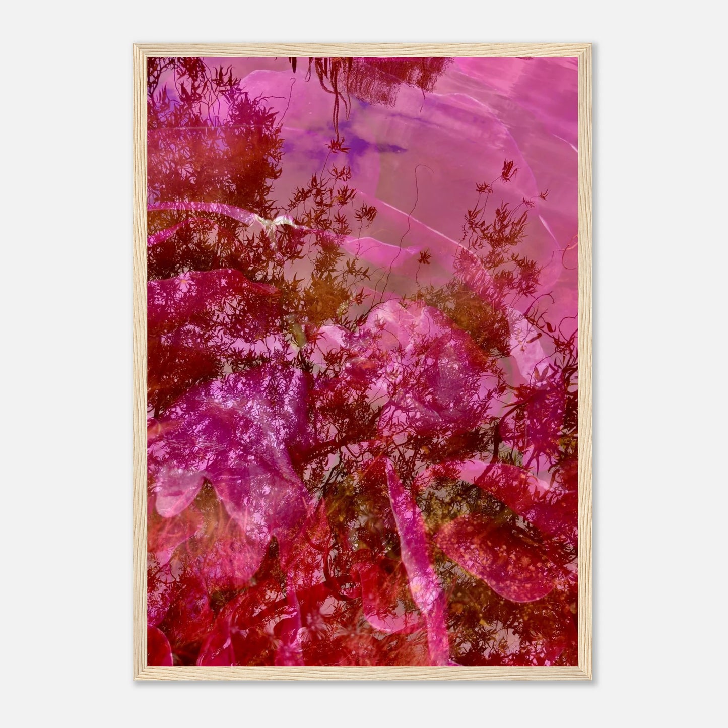 b89dd0e5-2921-45c2-bc6a-1ee5e184b31b