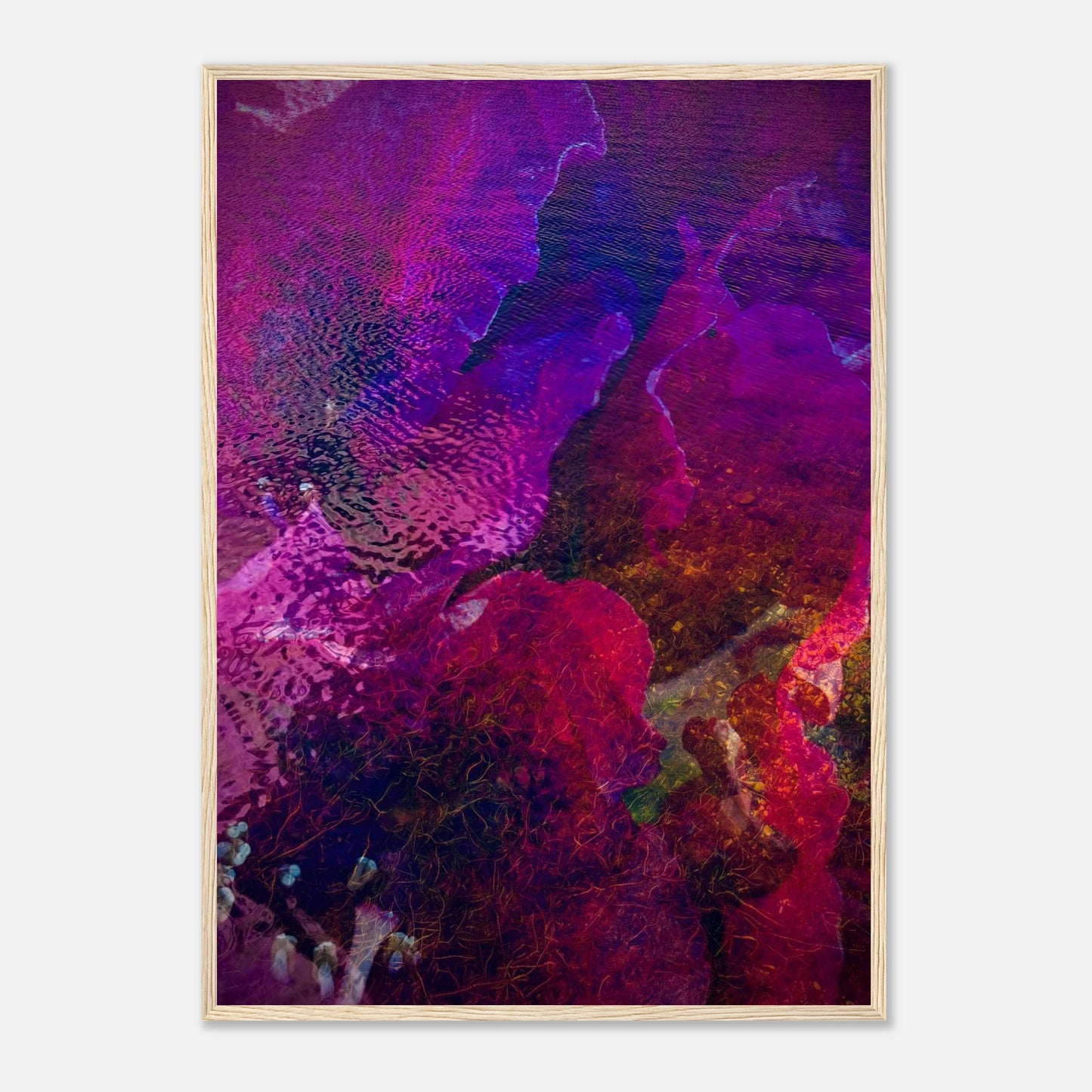 c872b558-0a80-4ee9-81a9-25cdfe18c40c