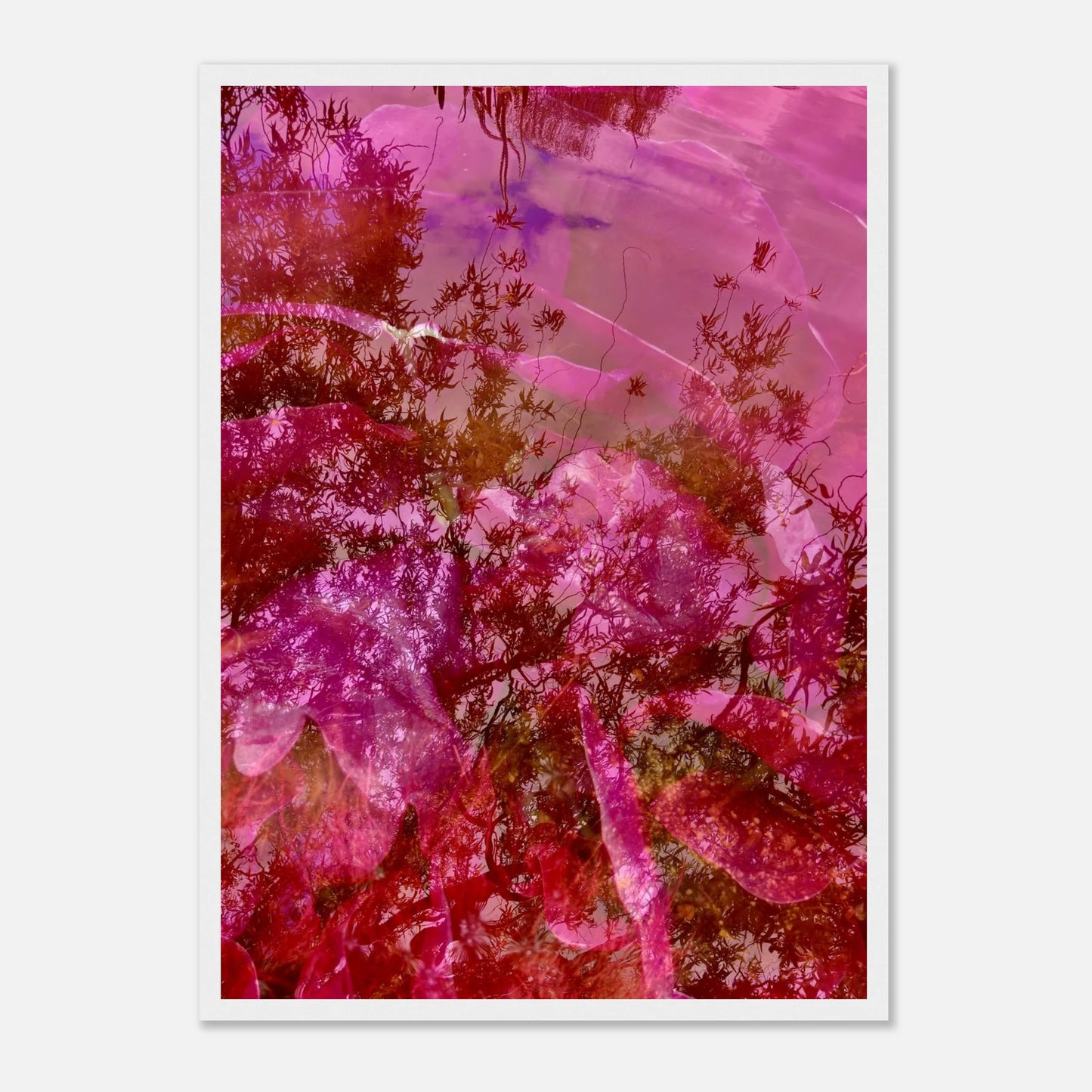 c8991176-41c9-4268-9e05-c460f036c838