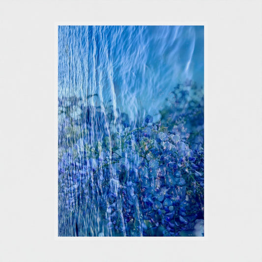 Art Print: Wisteria in the Lake