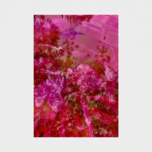 Art Print: Rose a Parfum in the Lake
