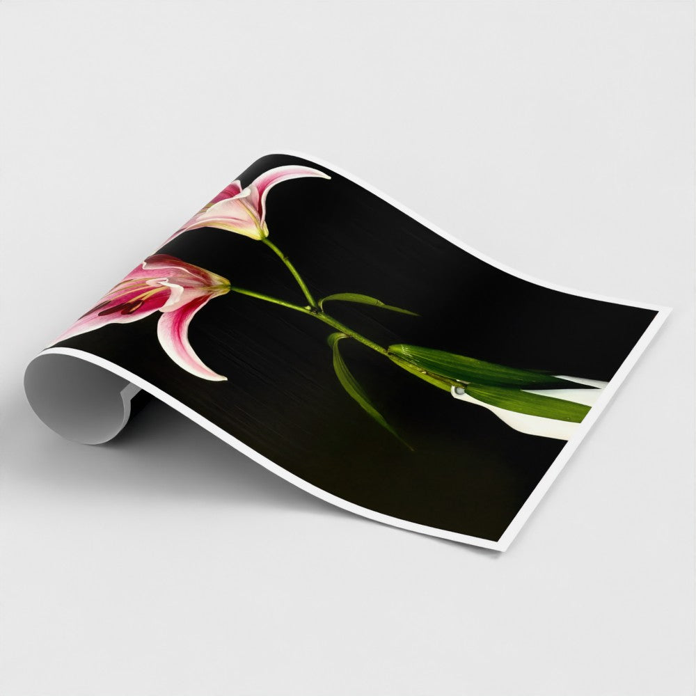 Art Print: Two Lilies (free shipping)