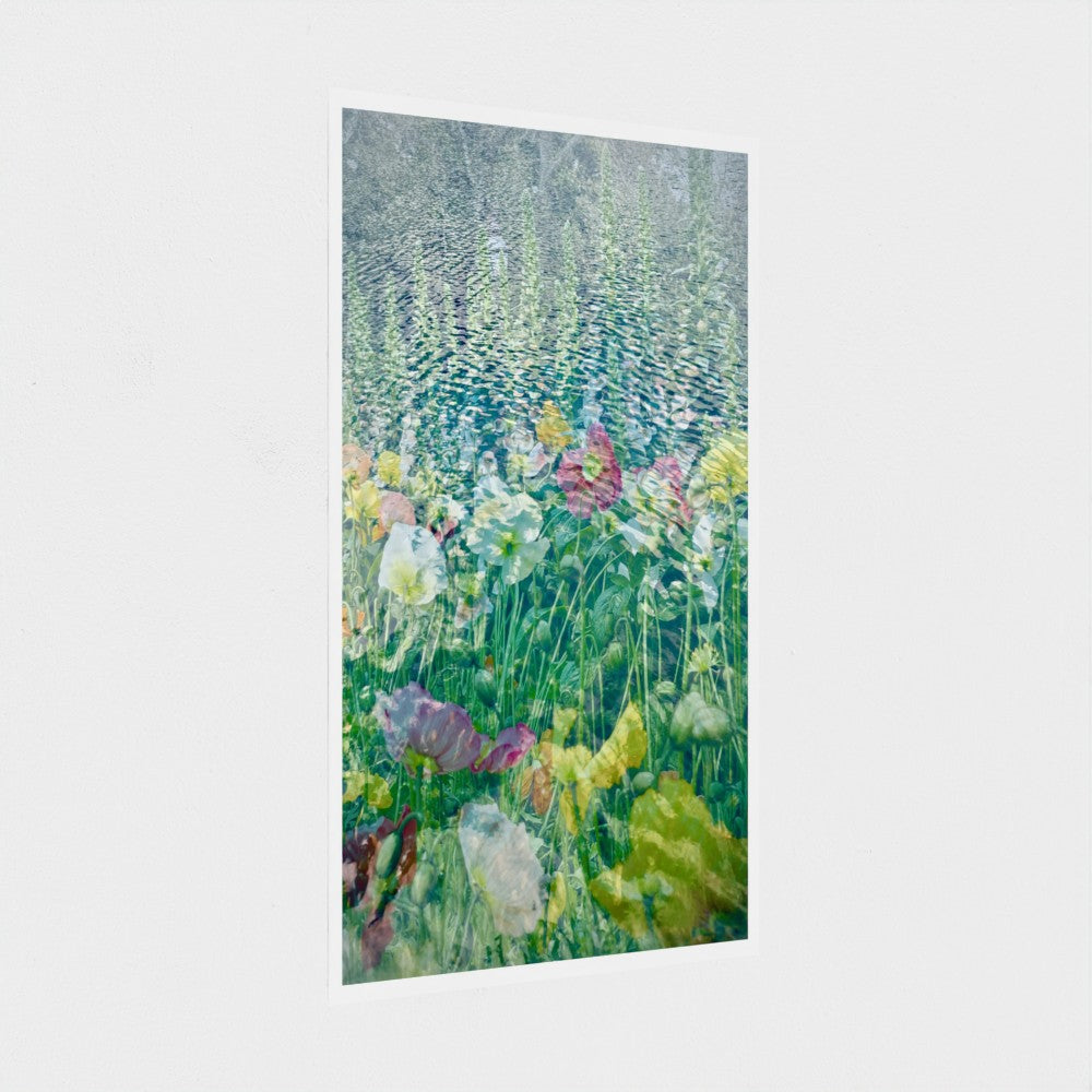 Art Print: Poppies in Lake Wendouree