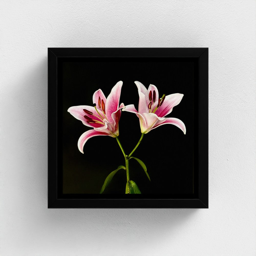 Mini floating frame canvas: Lilies (free shipping)