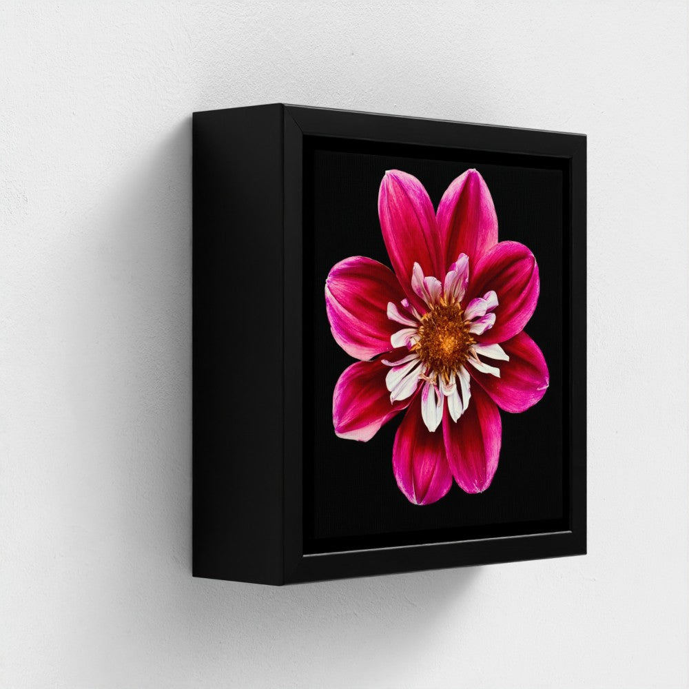 Mini floating frame canvas: Pink & white Dahlia (free shipping)