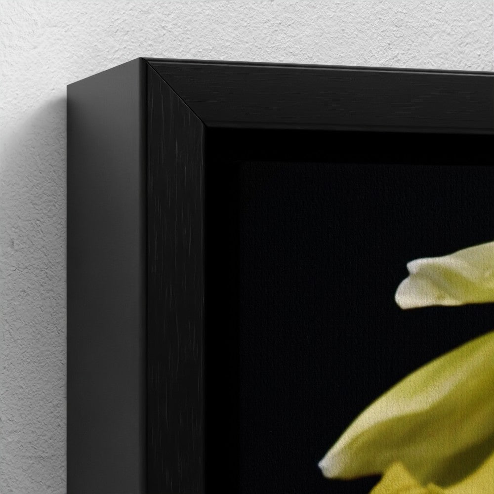 Mini floating frame canvas: Daffodils (free shipping)