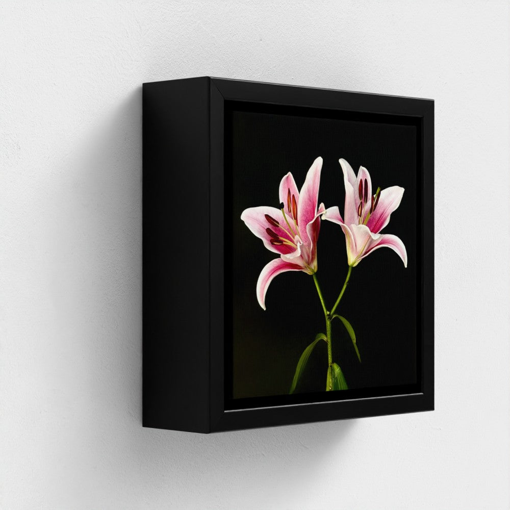 Mini floating frame canvas: Lilies (free shipping)