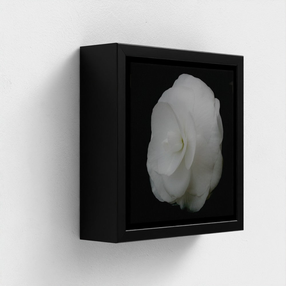 Mini floating frame canvas: Begonia (free shipping)