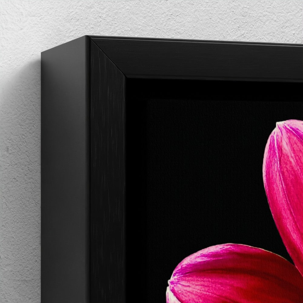 Mini floating frame canvas: Pink & white Dahlia (free shipping)