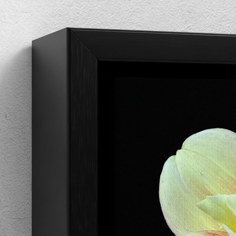 Mini floating frame canvas: Yellow Dahlia (free shipping)