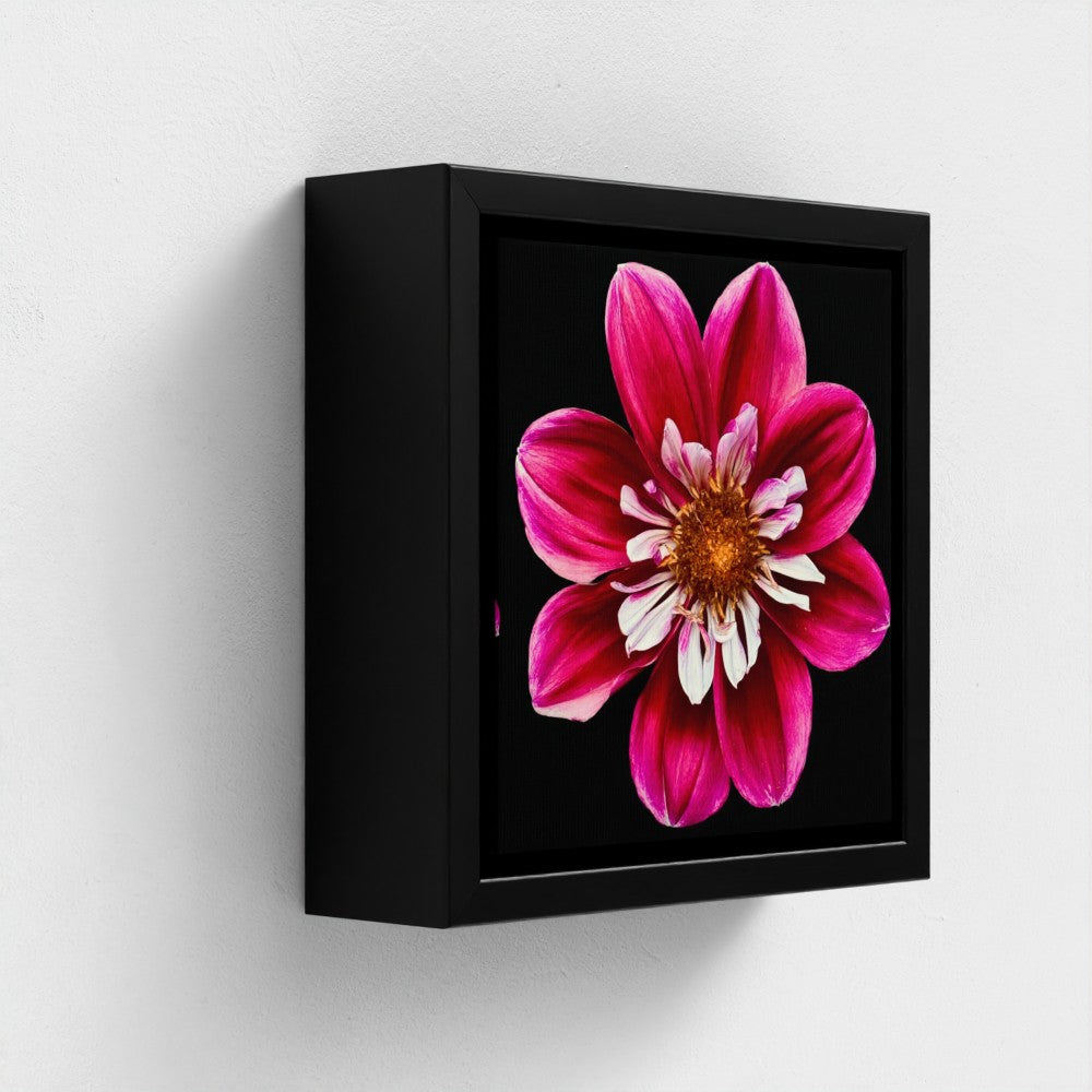 Mini floating frame canvas: Pink & white Dahlia (free shipping)