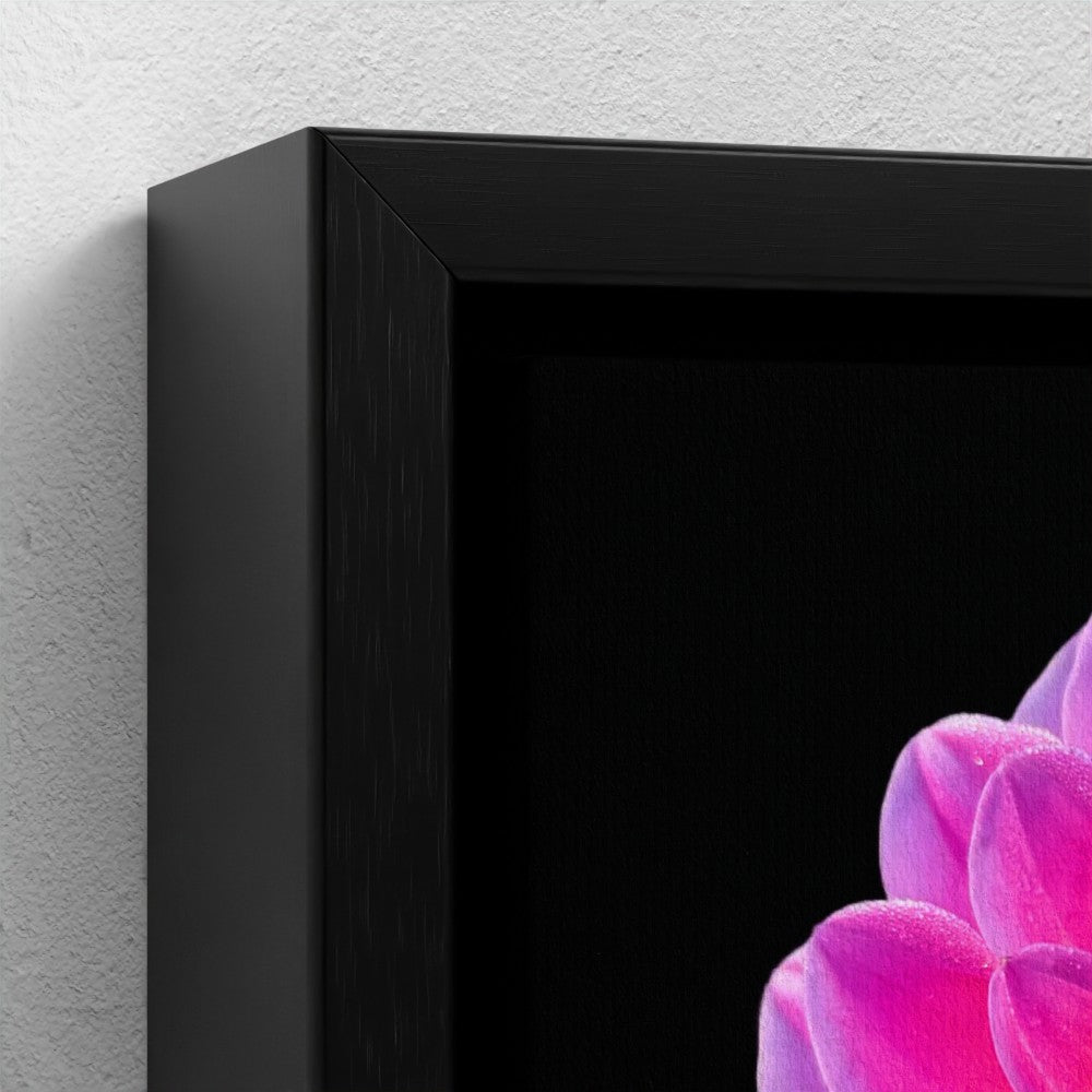 Mini floating frame canvas: Pink Dahlia (free shipping)