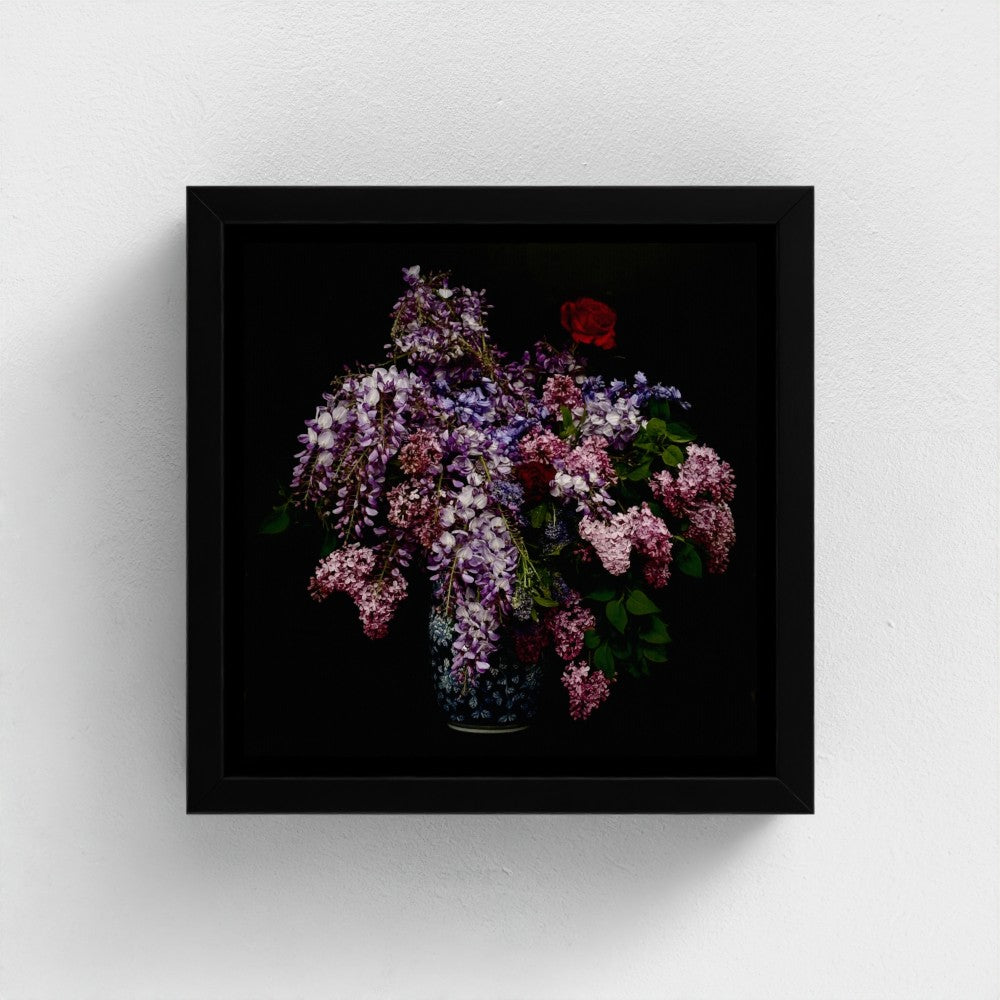 Mini floating frame canvas: Wisteria bouquet (free shipping)