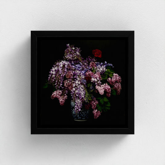 Mini floating frame canvas: Wisteria bouquet (free shipping)