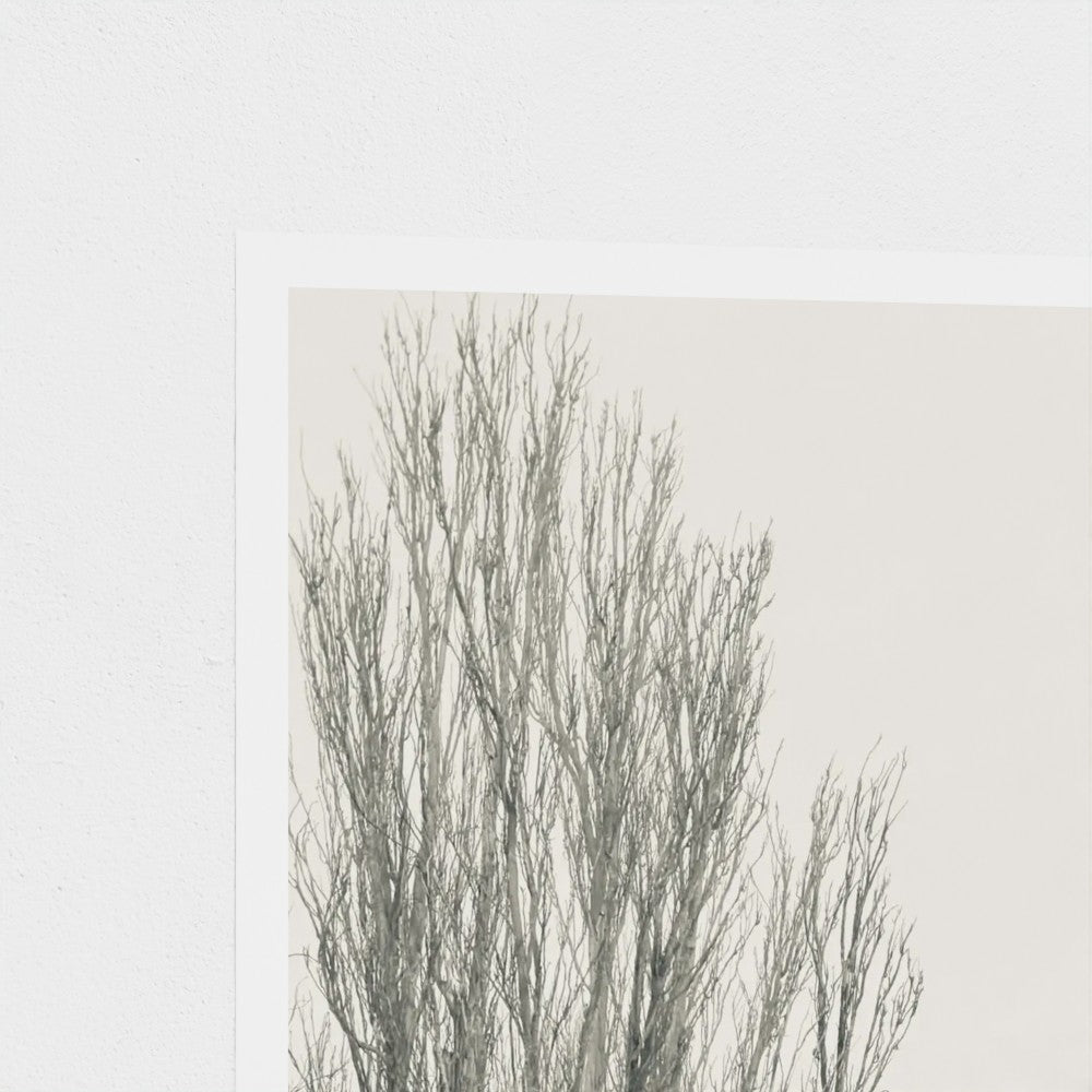 Photographic Art Print: Lake Wendouree 1 (free shipping)