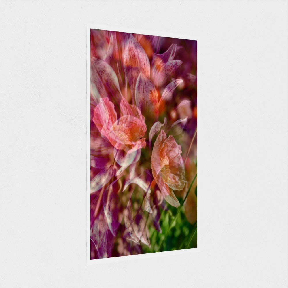 Photographic Art Print:  Dahlia and Poppies (free shipping)