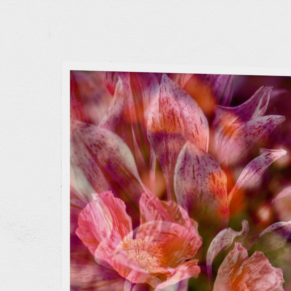 Photographic Art Print:  Dahlia and Poppies (free shipping)
